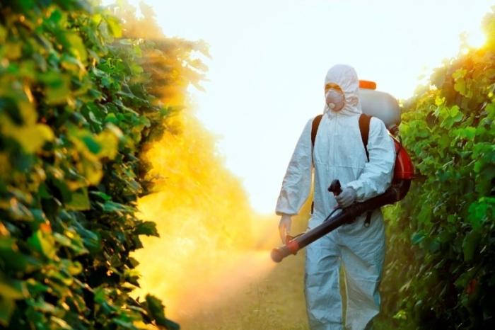 Les pesticides sont des substances qui détruisent les parasites