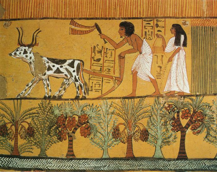 reliefs et peintures murales de l'Egypte ancienne