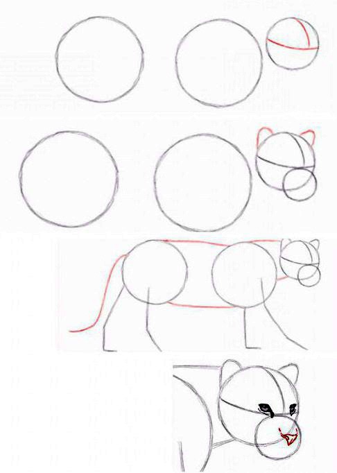 comment dessiner jaguar