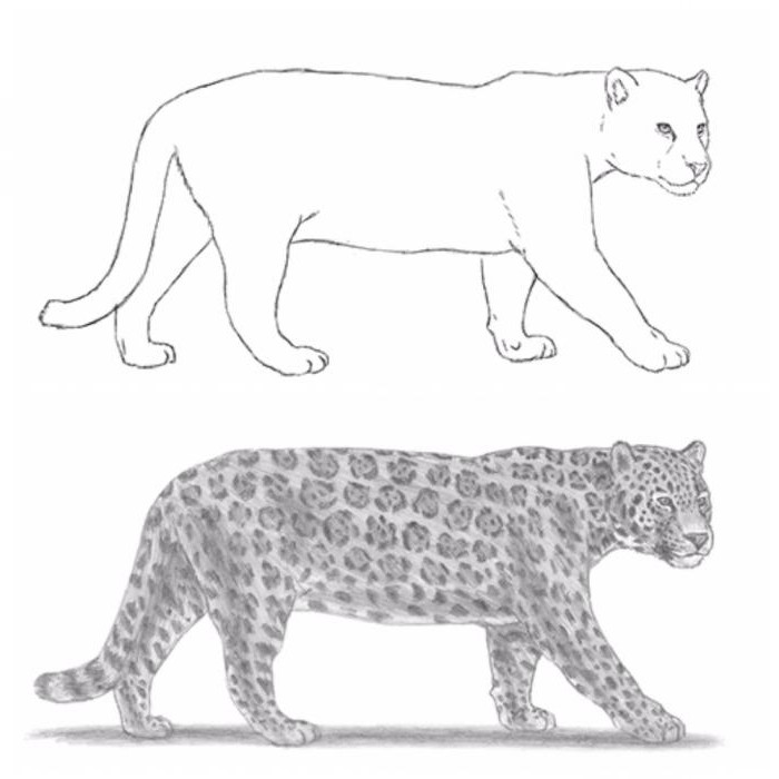 comment dessiner un crayon jaguar par étapes