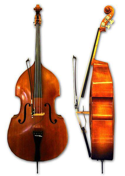 Combien de cordes a la contrebasse et quelle est sa différence par rapport aux autres instruments à cordes?