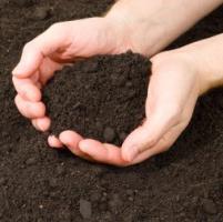 En quoi consiste le sol? Apprenez la composition du sol