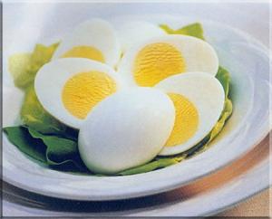 Examen du régime alimentaire des œufs