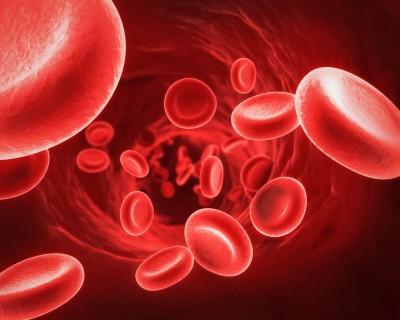 Quelle est la norme de l'hémoglobine dans le sang des hommes et des femmes?