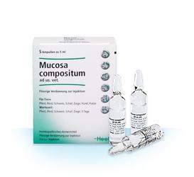 Le médicament "Mukoza compositum" est un excellent remède contre l'inflammation et les infections